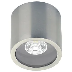 LED Udendørs Loftlampe Type nr. 2318, IP44, Ø 10.3cm, 8W 800lm 3000K 30°, svingbar 30°, rustfrit stål