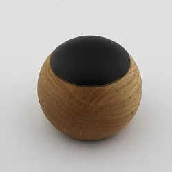 Fjernbetjening CASAMBI LEPUK EVOLUTION rund, med sensor, 4 kanal, med batteri, med belysning, sort, egetræ natur