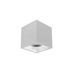 Downlight APOLLO MAXI firkantet, glat, omskiftelig IP20, pulverlakeret, sølv 
