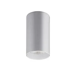 Downlight TRAXX MAXI rund, omskiftelig LED IP20, sølv 