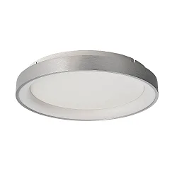 Væg- og Loftlampe MEROPE 40 IP20, sølv