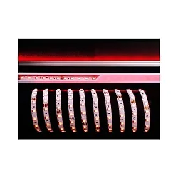 KapegoLED Fleksibel LED Strip, 5050-60-24V-RGB-5m