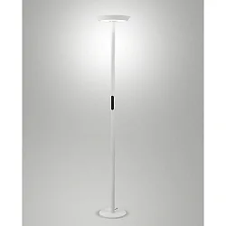 Standerlampe FIZZ CCT Switch, direkte / indirekte, med touch-dæmper IP20, hvid dæmpbar