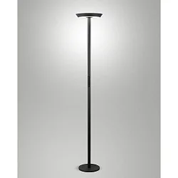 Standerlampe FIZZ CCT Switch, direkte / indirekte, med touch-dæmper IP20, antracit dæmpbar