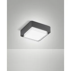 Udendørs loftlampe DIUK IP65, mørkegrå