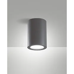 Udendørs loftlampe MANU E27 IP54, mørkegrå