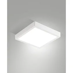Udendørs loftlampe GIAN IP54, hvid