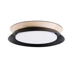 Væg- og Loftlampe TENDER LED IP20, sort mat 