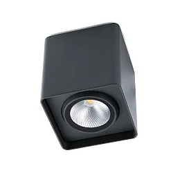 Udendørs loftlampe TAMI svingbar, drejelig LED IP54, mørkegrå 