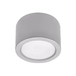 Downlight ADL2265MP.3584DA DALI styrbar, slagfast IP65, sølv dæmpbar