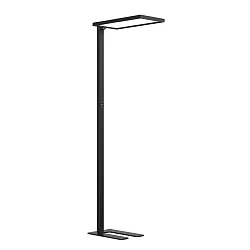 Standerlampe MICROPAL®, UGR<16 med sensor, direkte / indirekte, programmerbar, med touch-dæmper IP20, sort dæmpbar