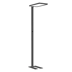 Standerlampe STL2063MP.10084DAW up / down, med sensor, UGR < 19, med touch-dæmper IP20, trafik hvid dæmpbar