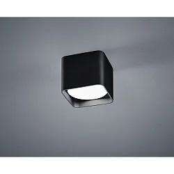 ceiling luminaire DORA square IP20, satined, black matt 