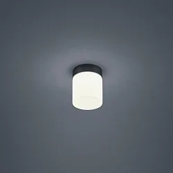 Loftlampe KETO cylindrisk, omskiftelig, med diffuser IP44, sort mat 