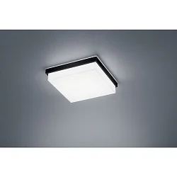 ceiling luminaire COSI IP30, satined, black matt dimmable