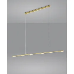 Pendel LOOPY direkte, med diffuser IP20, guld mat dæmpbar