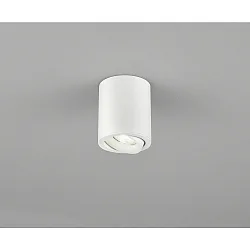 spot NESO cylindrical, swivelling GU10 IP20, white matt dimmable