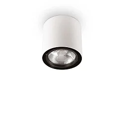 Loftlampe MOOD ROUND QPAR111 svingbar GU10 IP20, stål, hvid