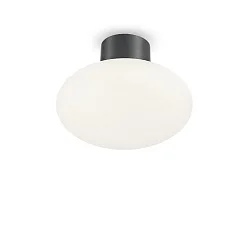 Udendørs loftlampe CLIO uden skærm E27 IP44, antracit