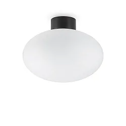 Udendørs loftlampe CLIO uden skærm E27 IP44, sort