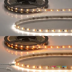 LED Strip CRI919/940 MiniAMP Flexband