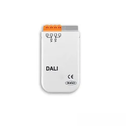 timer DALI, hvid