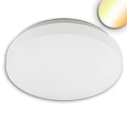 Loftlampe DN410 COLORSWITCH HF med sensor, CCT Switch, omskiftelig, multipower IP64, hvid 
