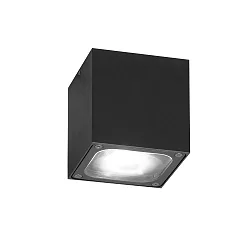 Udendørs loftlampe CESENA IP54, antracit, gennemsigtig