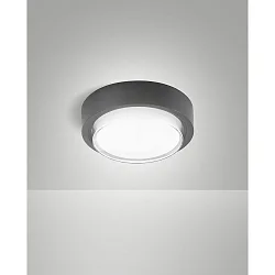 Udendørs loftlampe OWEN IP65, mørkegrå