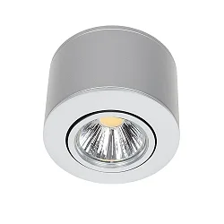 downlight A 5068 AUFBAU swivelling, dimmable IP40, chrome matt, clear dimmable