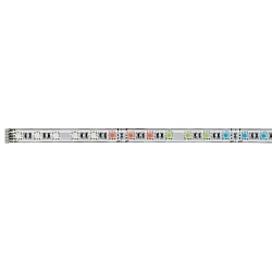 LED Strip MAX LED STRIPE, 1m, RGBW, 5,5W, 24V, belagt