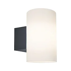 Paulmann Udendørs Væglampe Tube IP54 E27 maks. 15W