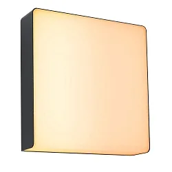 Udendørs wall luminaire AZALENA med sensor, ZigBee styrbar, insektvenlig IP44, antracit, gennemsigtig dæmpbar