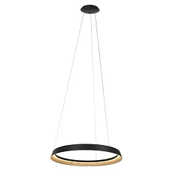 pendant luminaire RINGLUX IP20, black dimmable