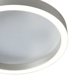 ceiling luminaire RINGLUX 2 flames IP20, steel dimmable