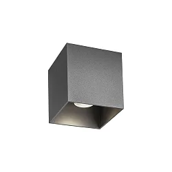 Udendørs loftlampe BOX OUTDOOR CEILING SURF 1.0 IP65, grå dæmpbar