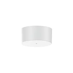 Loftsroset 1-fold, hvid