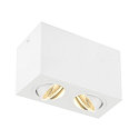 LED Loftlampe TRILEDO Double, 16W 3000K 1340lm 38�, 30� enkeltvis svinge, hvid