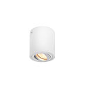 Loftlampe TRILEDO CL, GU10 QPAR51, 30� svinge, cylinder, hvid