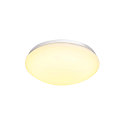 LED Outdoor Wall and Ceiling luminaire LIPSY 30 Dome, IP44, 3000/4000K, � 30cm, 15W, white