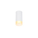 Ceiling luminaire ASTINA QPAR51 Downlight, GU10, white