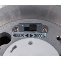 Premium-LED Udend�rs V�glampe ENOLA ROUND CCT, IP65 IK02, S version, 9W 3000/4000K 510/580lm 38, CRi>90, antracit