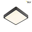 LED Wall / Ceiling luminaire AINOS SQUARE Outdoor, 17W, 1300lm, CCT switch 3000/4000K, anthracite