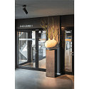 SLV LED Loftlampe NUMINOS SPOT DALI L, 3000K, 36�, 2340lm, sort/sort