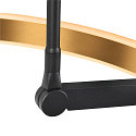 SLV floor lamp ONE BOW FL up / down, brass, black dimmable