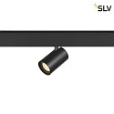 spot NUMINOS XS TRACK 48V DALI controllable IP20, black dimmable