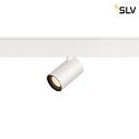 SLV spot NUMINOS XS TRACK 48V DALI controllable IP20, black, white dimmable