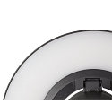 SLV outdoor wall luminaire I-RING round, switchable, with diffuser, cardanic swivelling IP65, anthracite 