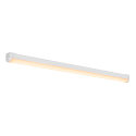line�rt lampe INDUSTRY BATTEN V 1200 CCT Switch, multipower IP20