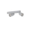 SLV wall and ceiling luminaire PURI 2.0 - TUBE 2 flames, asymmetrical GU10 IP20, grey dimmable